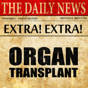 organ transplant, newspaper article text